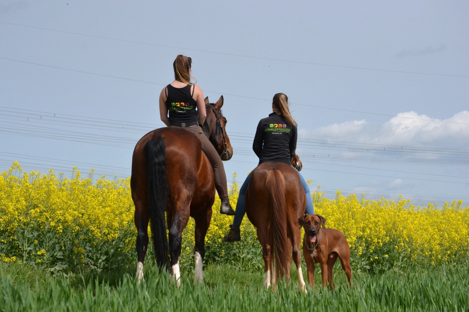 Landwirtschaft